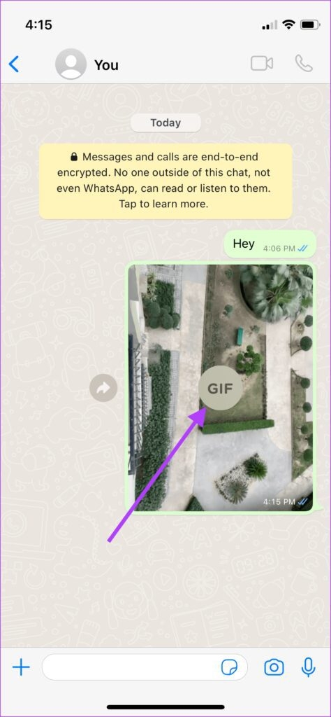 Cách gửi ảnh Live Photo dưới dạng GIF trên WhatsApp (7)