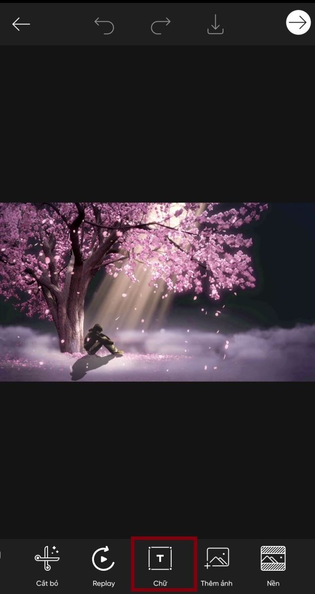 Hướng dẫn cách chèn chữ vào ảnh Picsart cực kỳ đơn giản