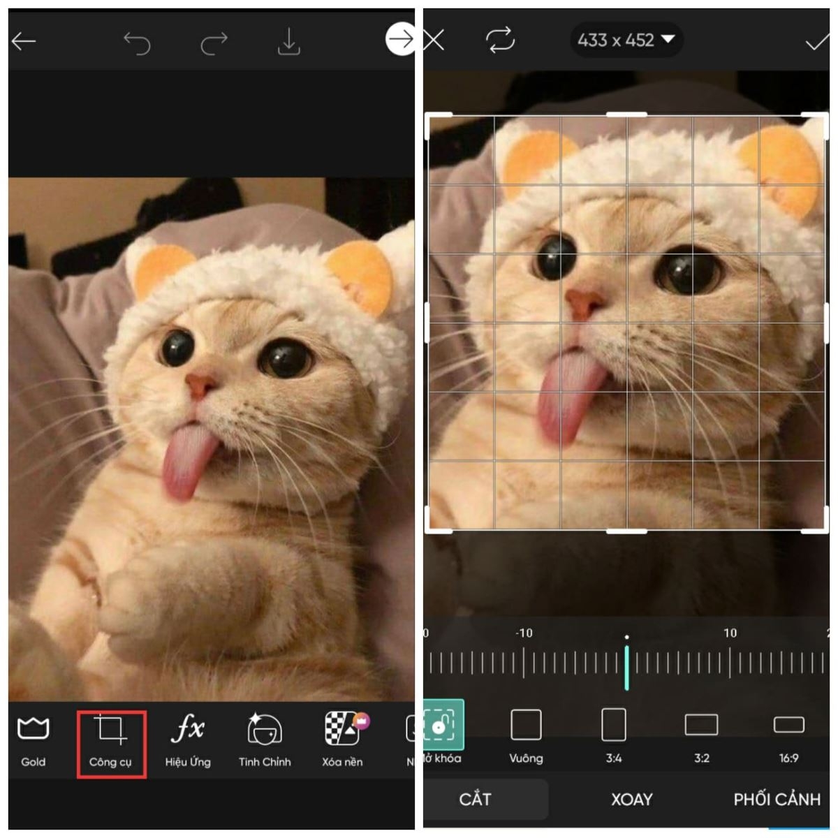 Hướng dẫn chi tiết cách làm logo tròn bằng Picsart rất dễ hiểu