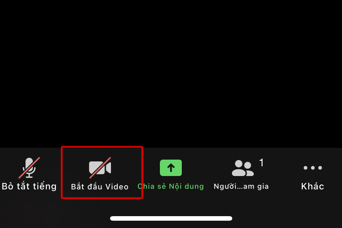 Cách bật và tắt camera trên Zoom 4