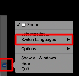 Zoom tiếng Việt 5