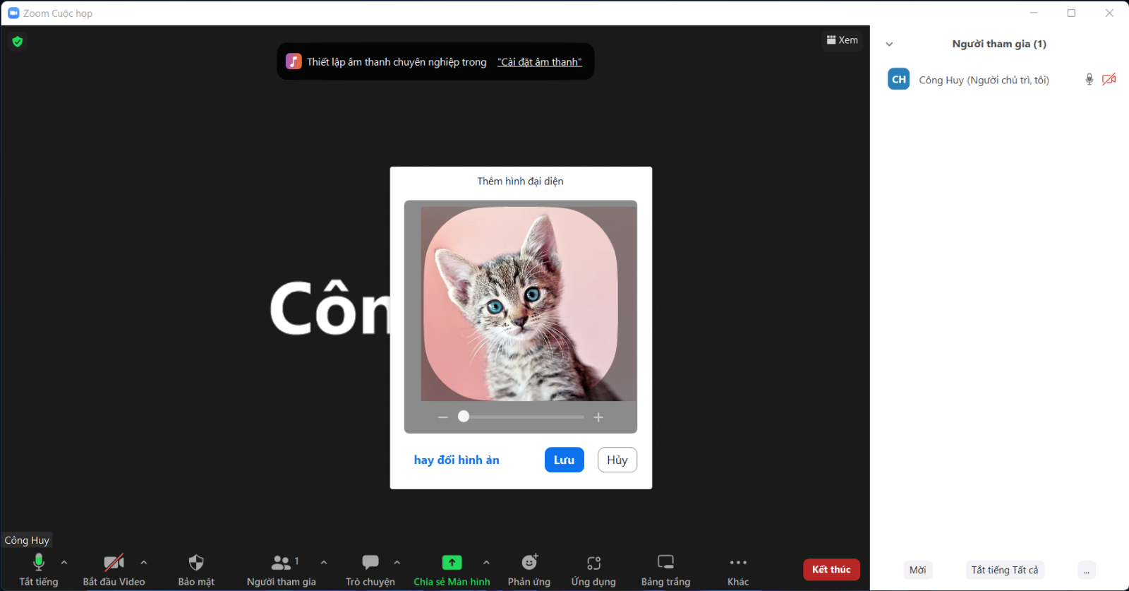 Cách đổi ảnh trên Zoom khi đang học trên điện thoại và máy tính 10 Cách đổi ảnh trên Zoom khi đang học trên điện thoại và máy tính 10