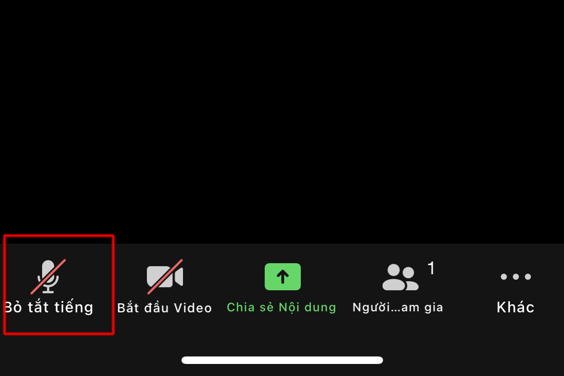 Zoom mất tiếng