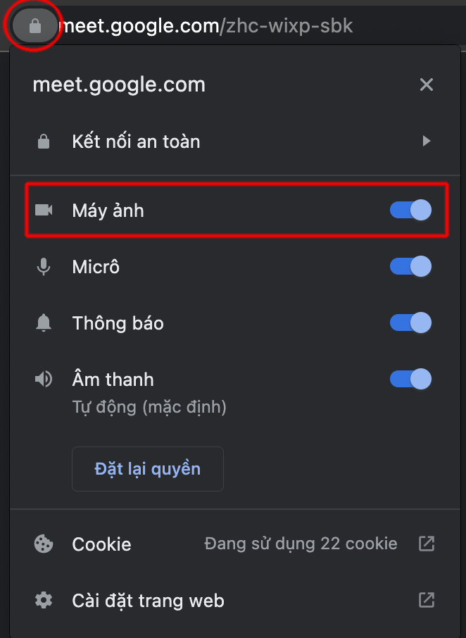 google meet không mở được camera 1