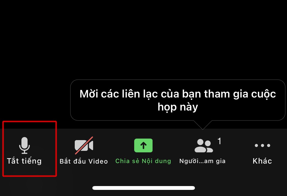 Cách tắt tiếng trên Zoom 2