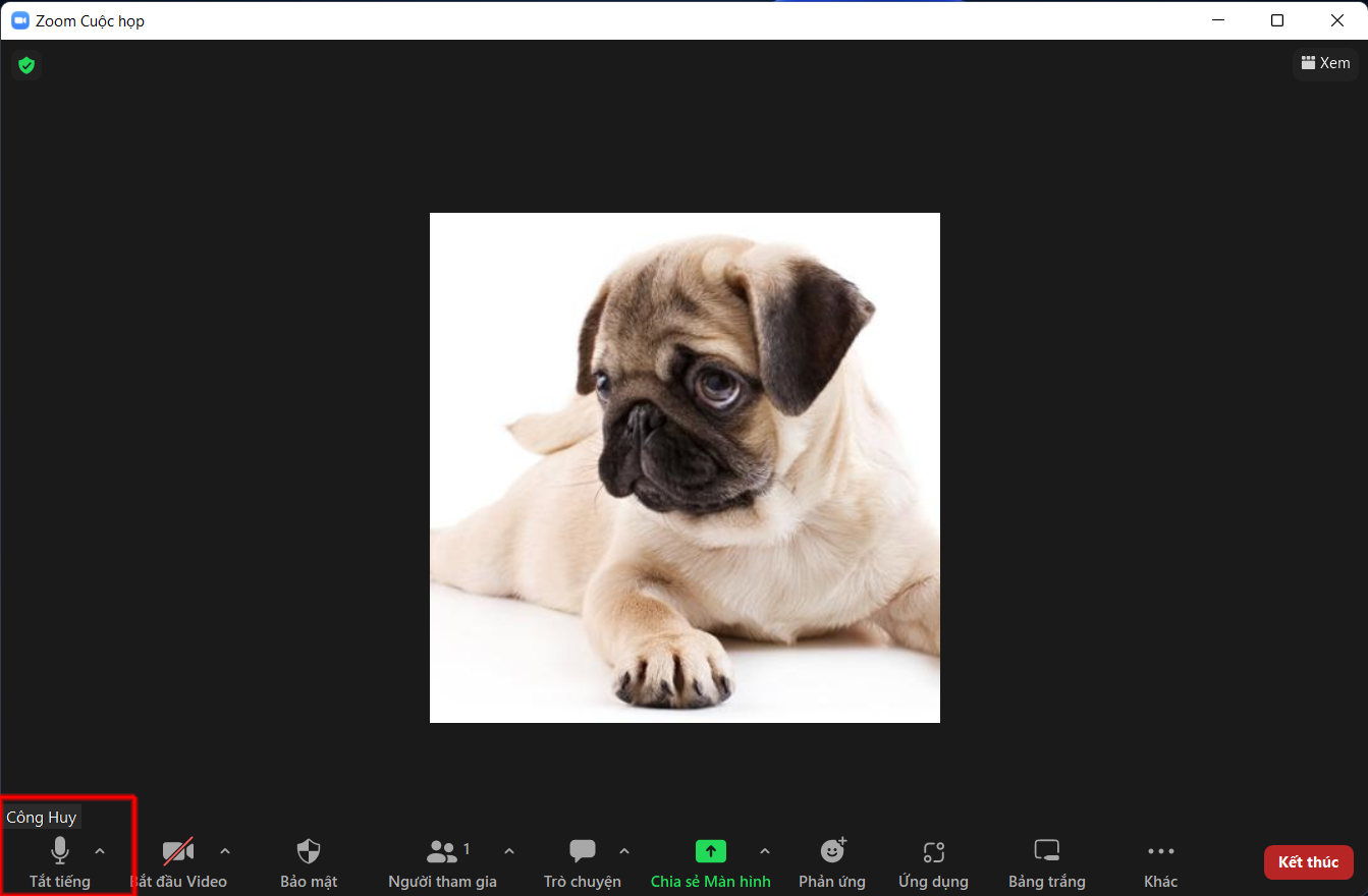 Cách tắt tiếng trên Zoom 3 Cách tắt tiếng trên Zoom 3