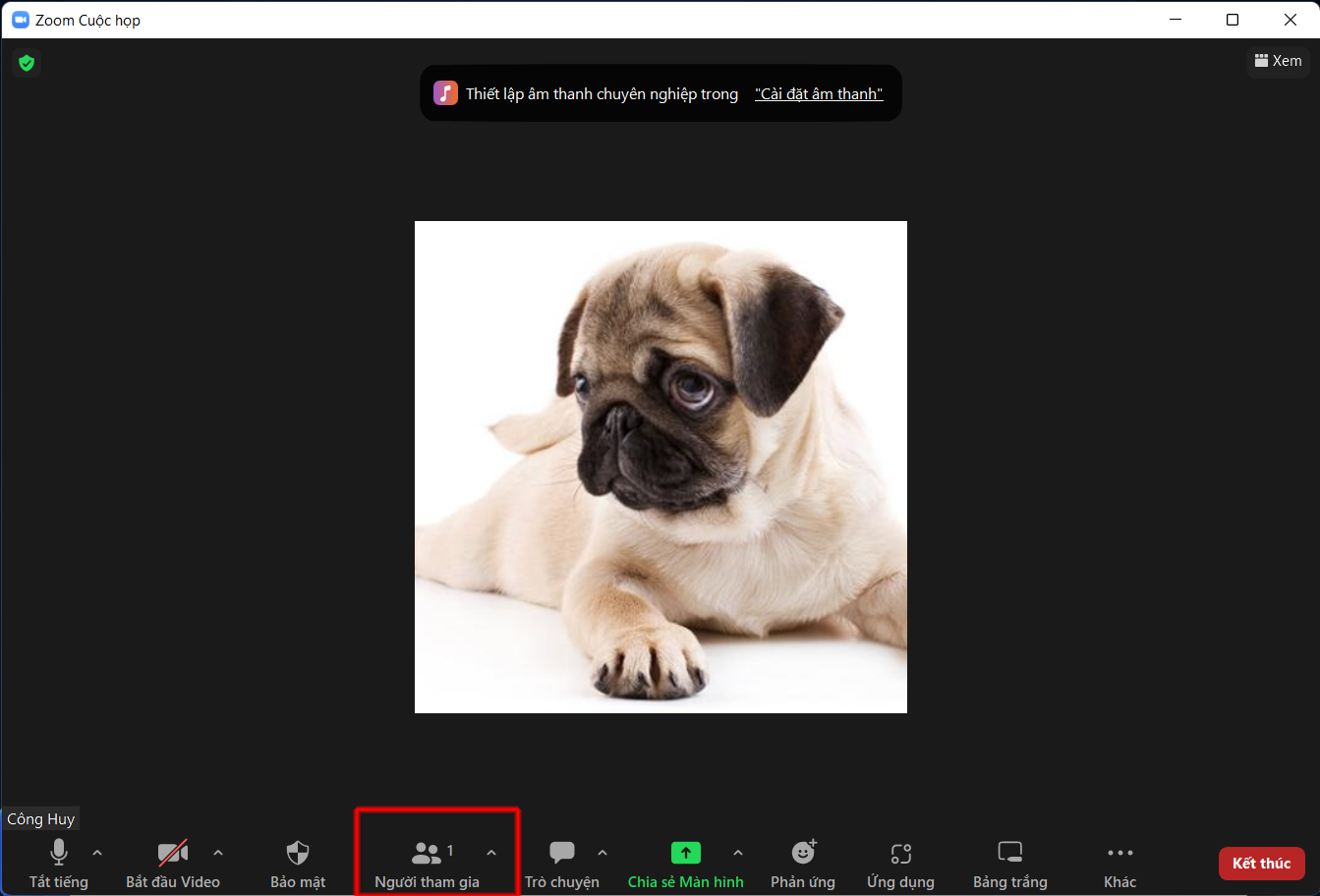 Cách chuyển host cho Zoom 4