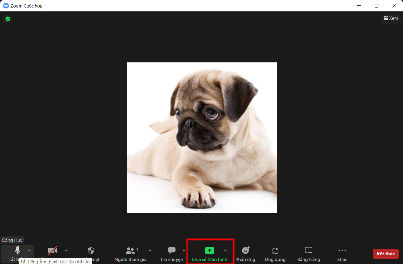cách trình chiếu powerpoint trên zoom 2 cách trình chiếu powerpoint trên zoom 2