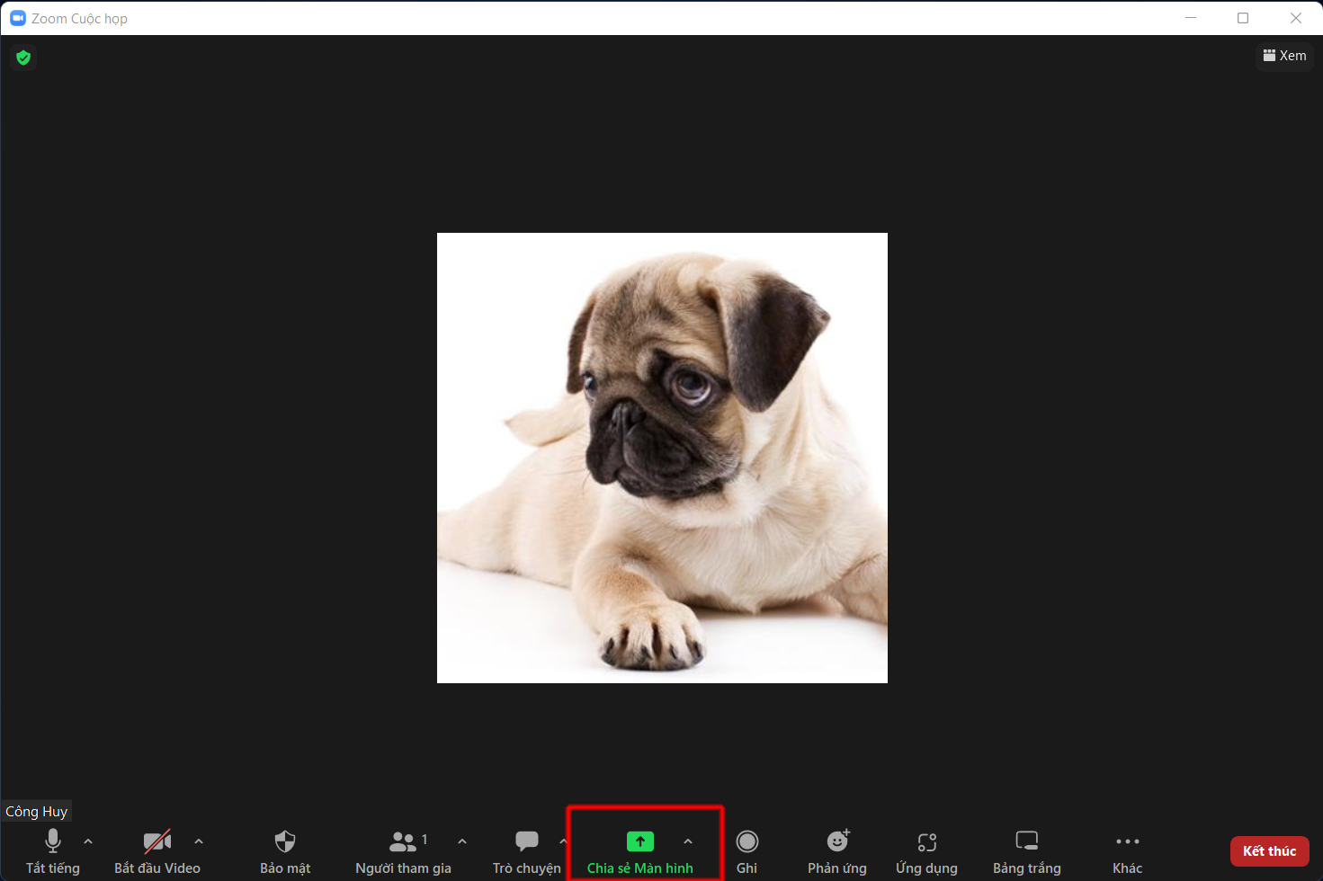 cách vẽ lên màn hình Zoom 1