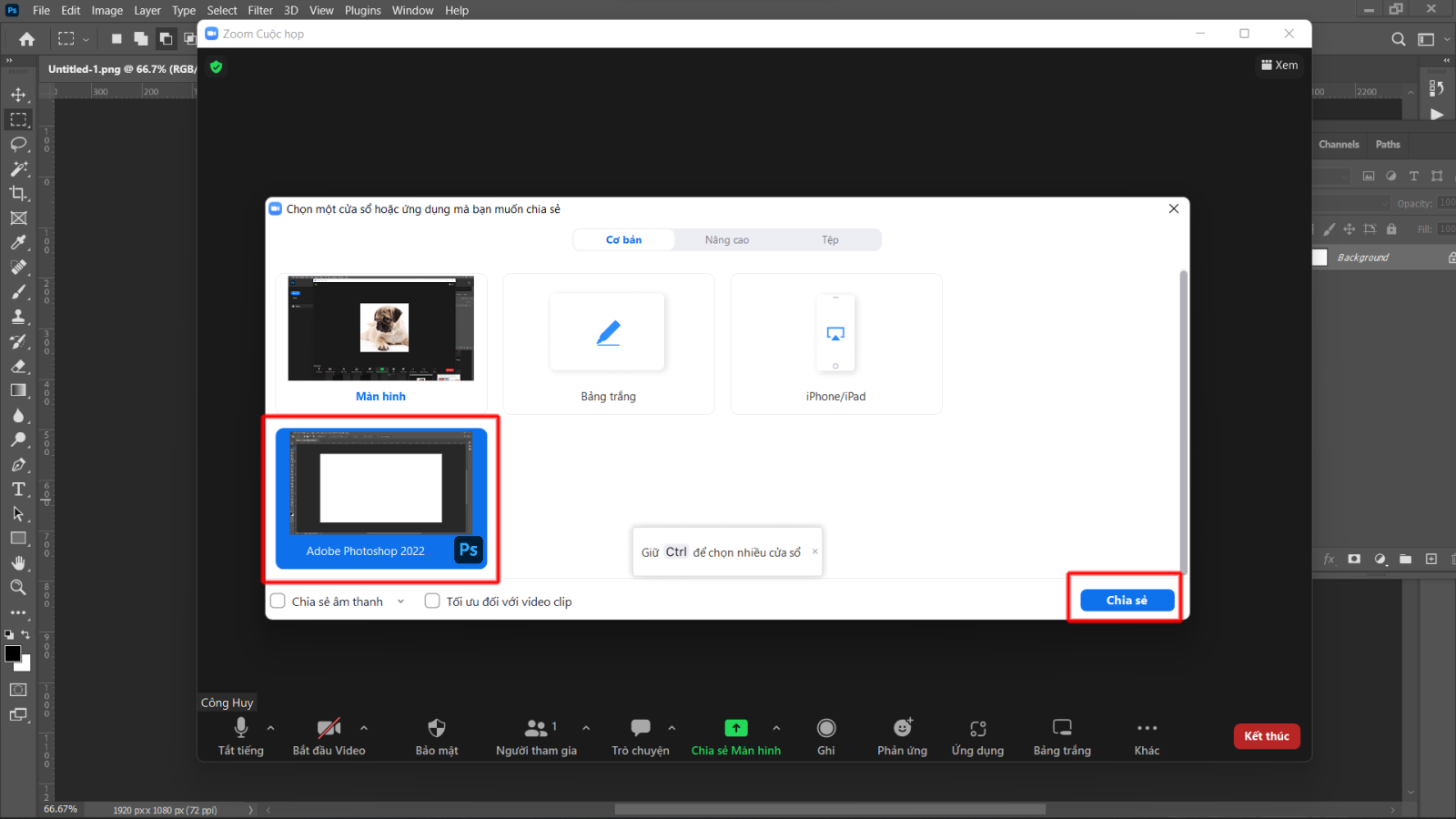 cách vẽ lên màn hình Zoom 4