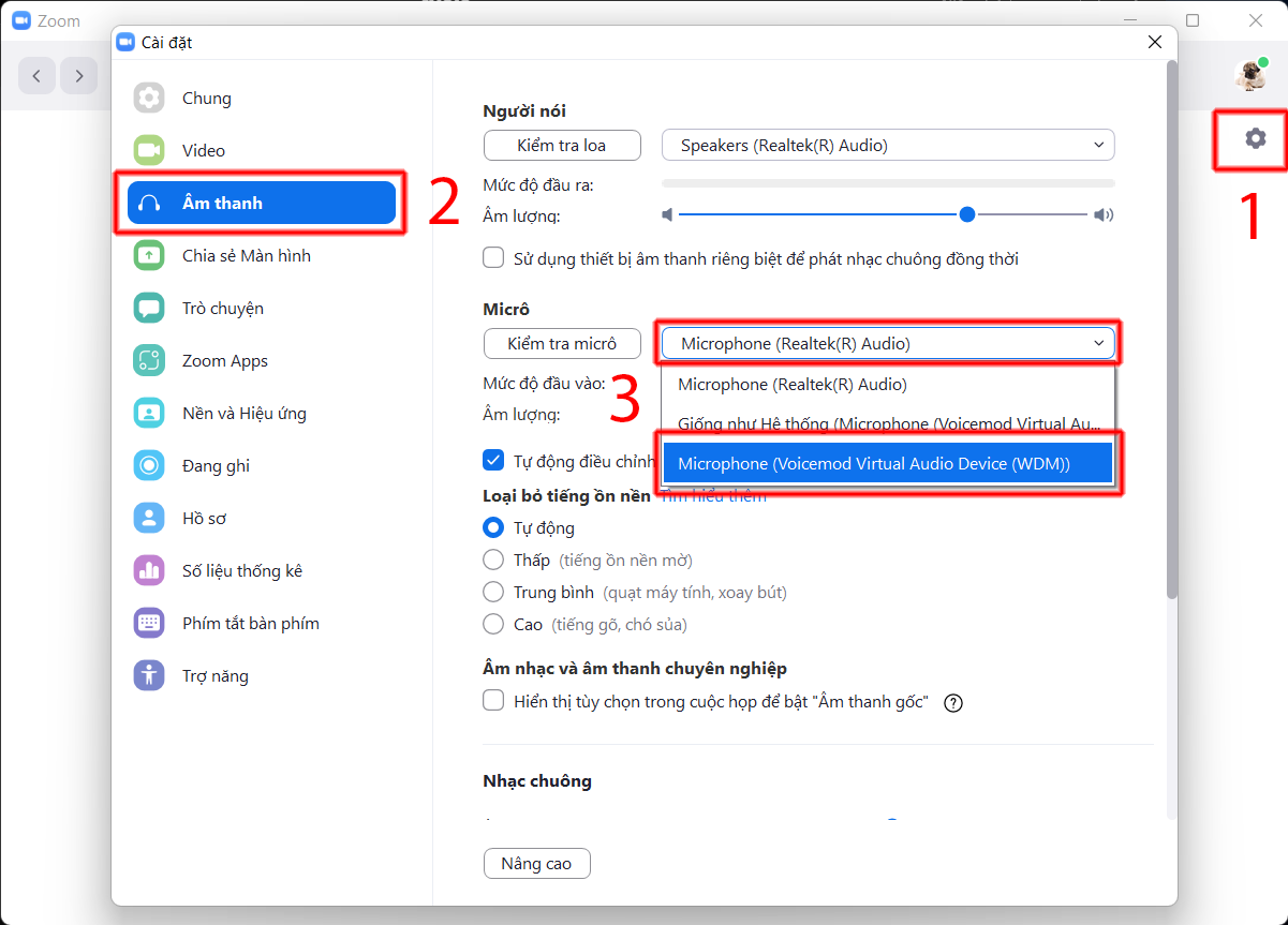 cách đổi giọng trên zoom 9