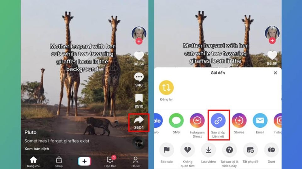Sao chép đường link của video