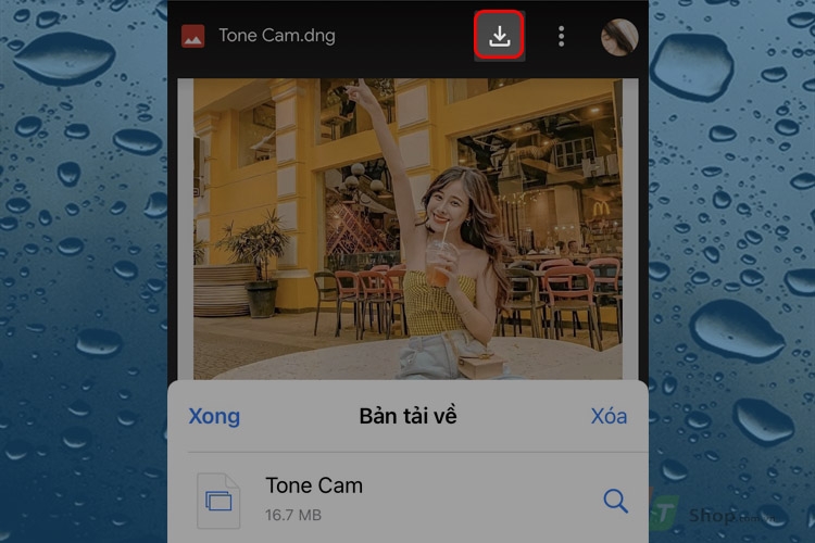 Hướng dẫn tải các công thức màu cho Lightroom bằng điện thoại và máy tính cực kỳ đơn giản, dễ thực hiện