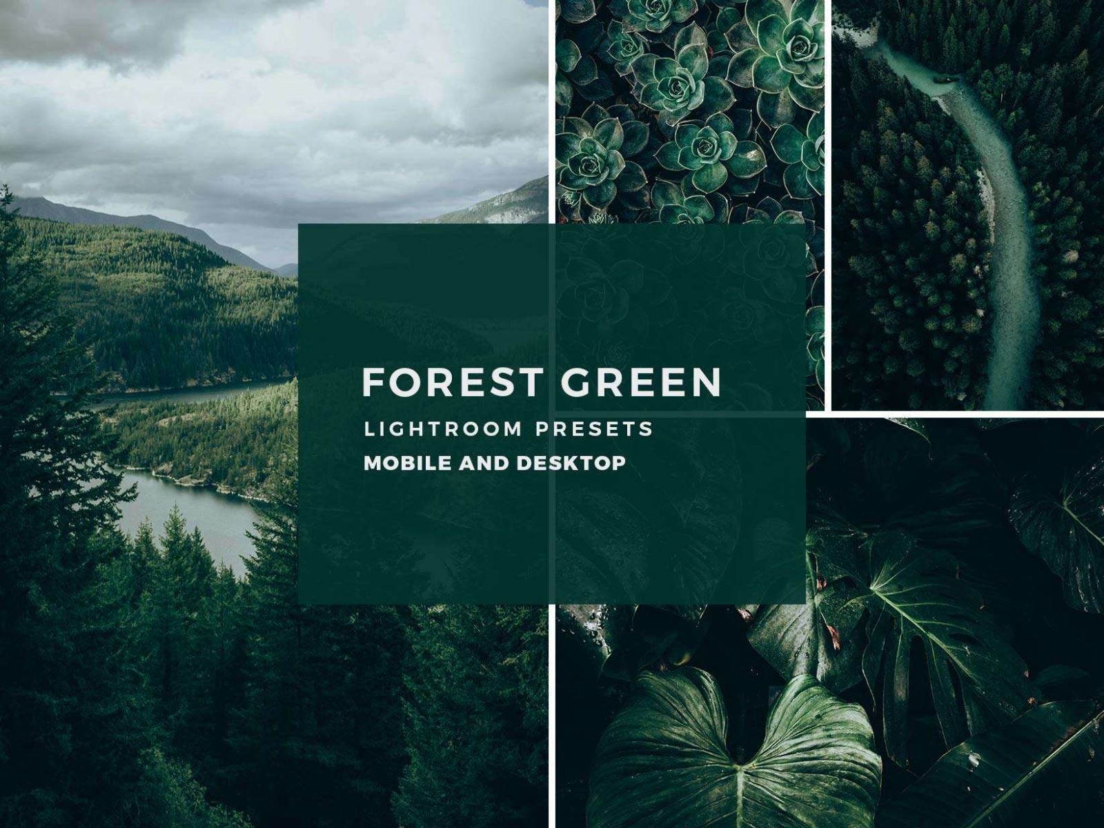 Preset trong Lightroom là gì? Hướng dẫn chi tiết cách thêm preset vào Lightroom siêu dễ thực hiện