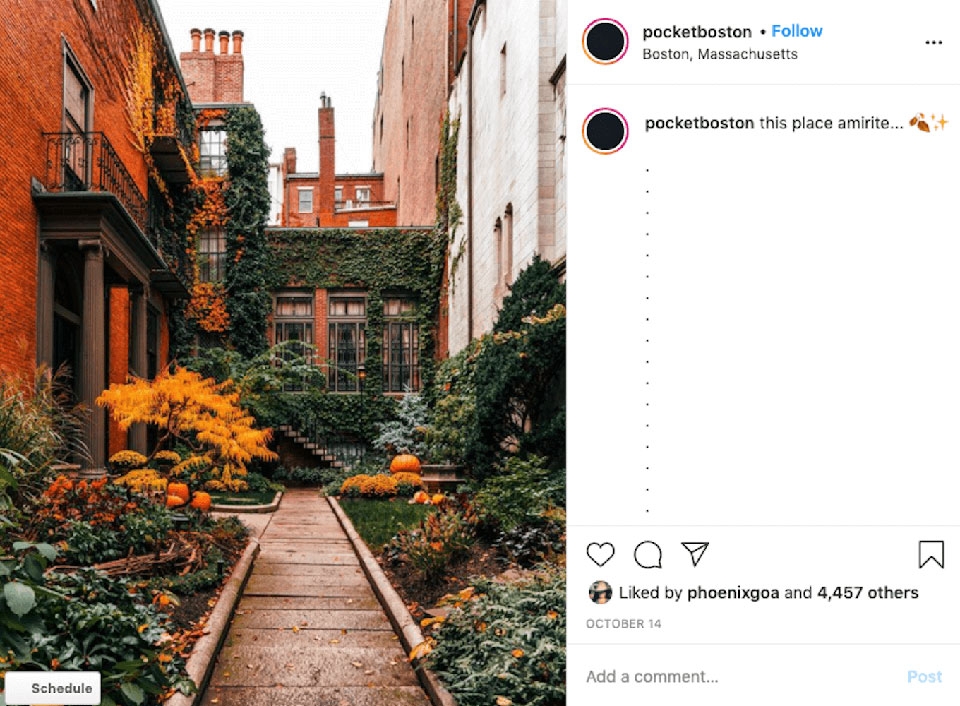 cách chụp ảnh trên instagram - Ảnh 02