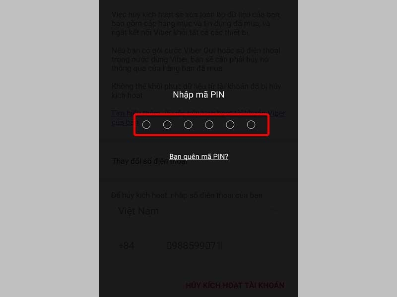 Nhập Mã PIN của bạn