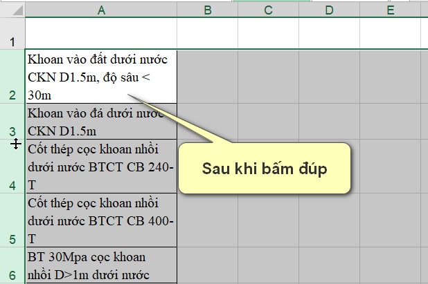 Hướng dẫn giãn dòng trong Excel ai cũng phải biết (8)
