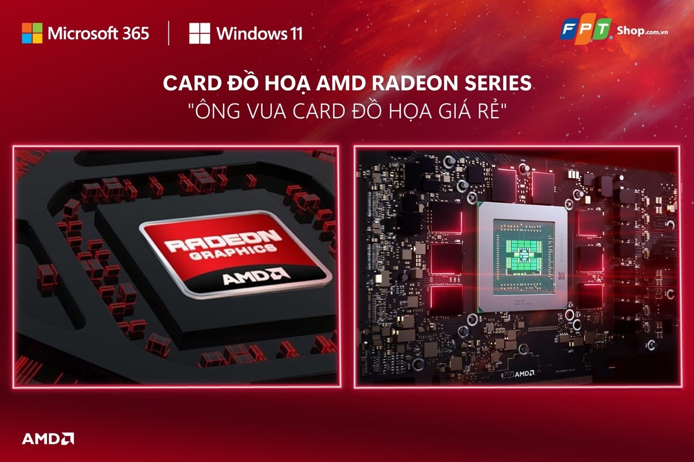 Card đồ họa AMD Radeon