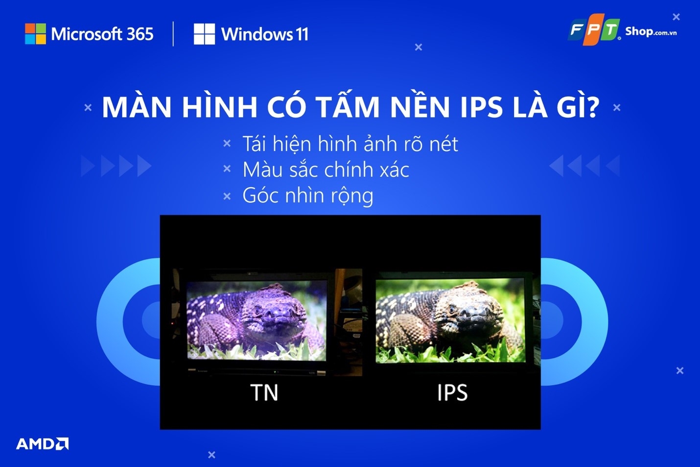 Laptop có tấm nền IPS