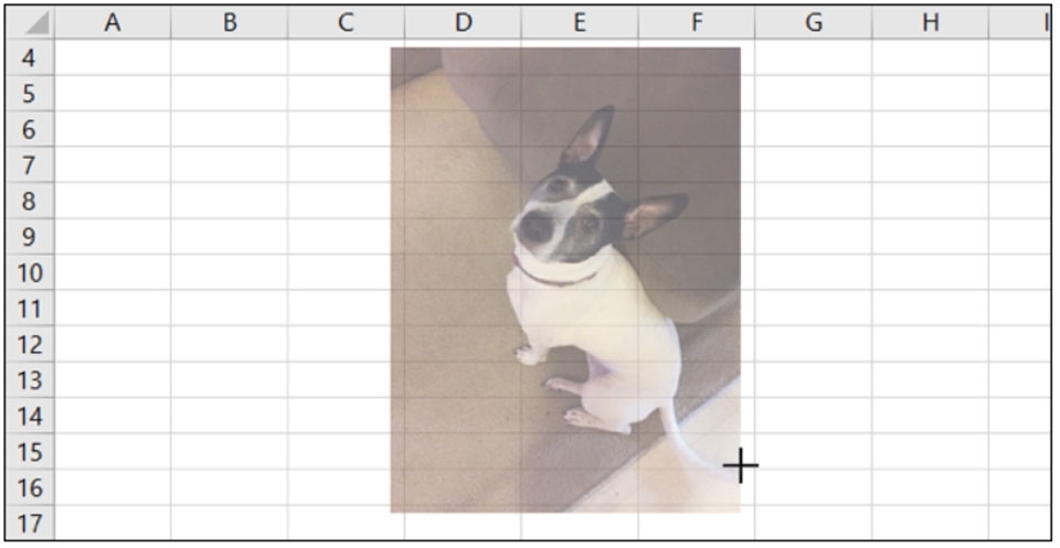 Thêm ảnh vào Excel - Ảnh 03 Thêm ảnh vào Excel - Ảnh 03