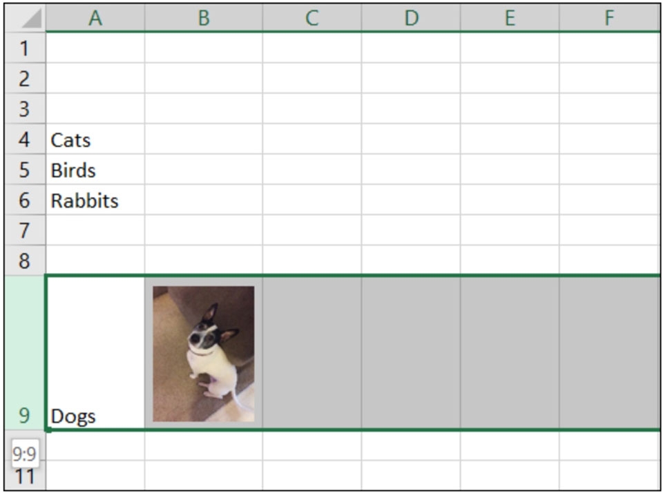 Thêm ảnh vào Excel - Ảnh 08 Thêm ảnh vào Excel - Ảnh 08