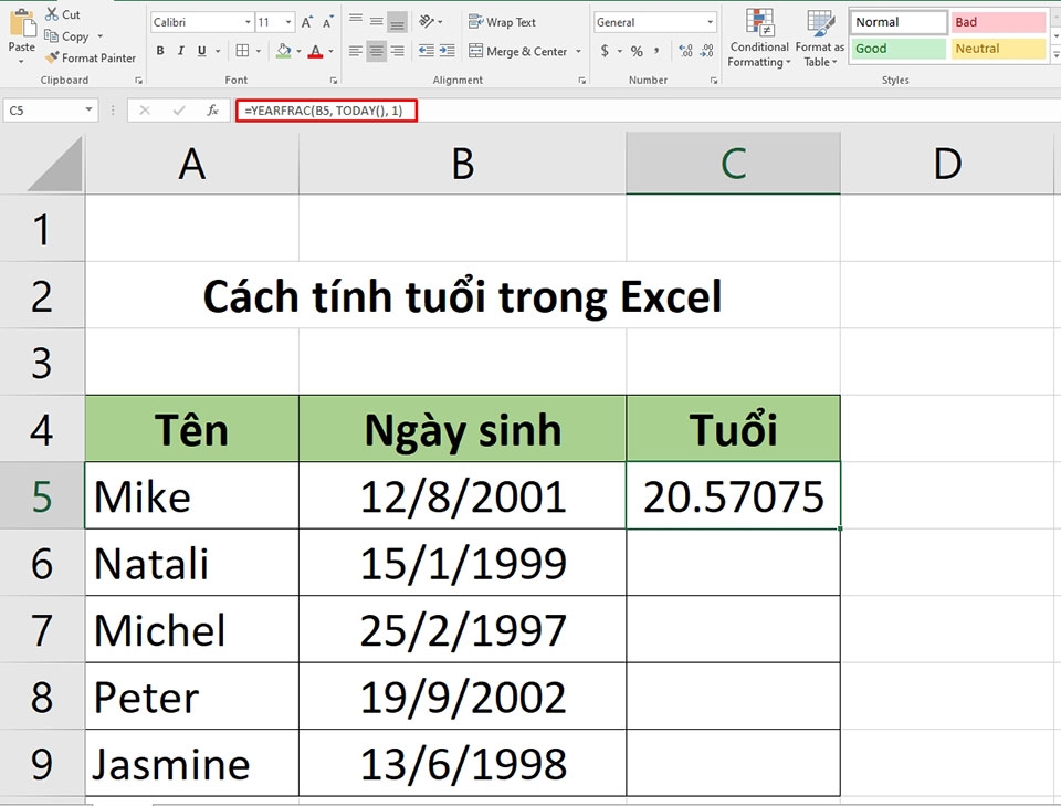 Cách tính tuổi trong Excel - Ảnh 05