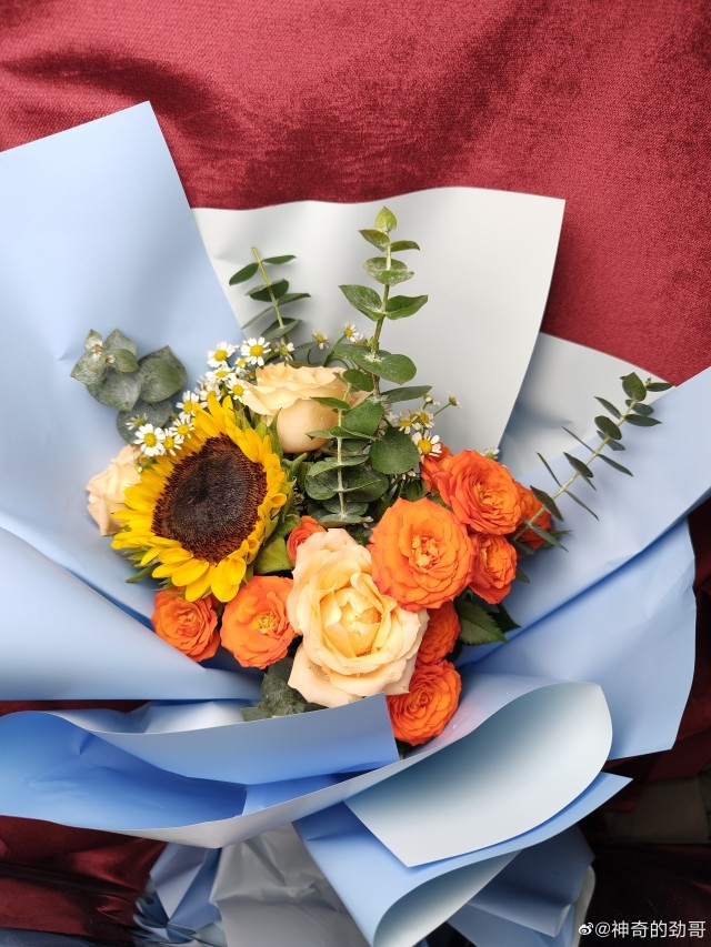 Hình ảnh được chụp từ camera 200MP của Moto Edge 30 Ultra