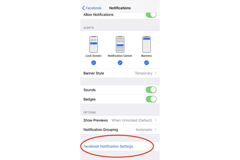tắt giọng nói khi có cuộc gọi đến trên iPhone - hình 2