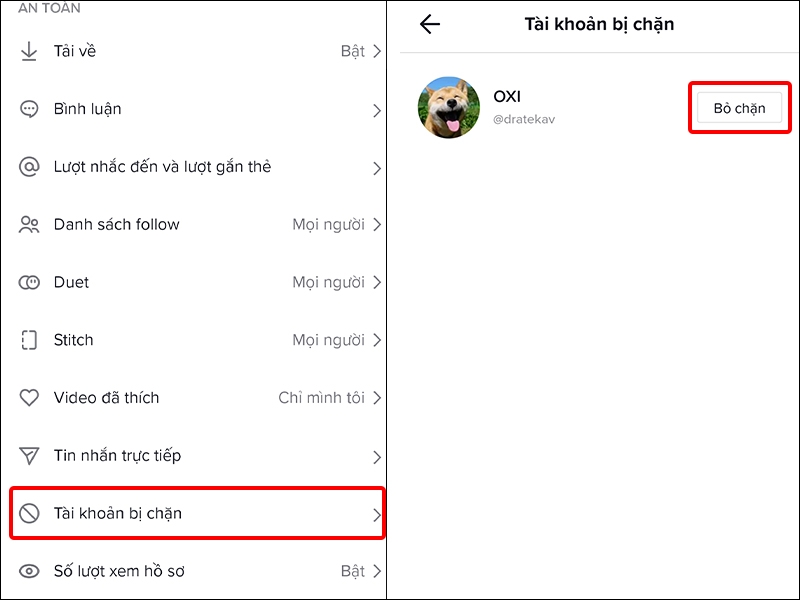 Hướng dẫn bỏ chặn người dùng TikTok