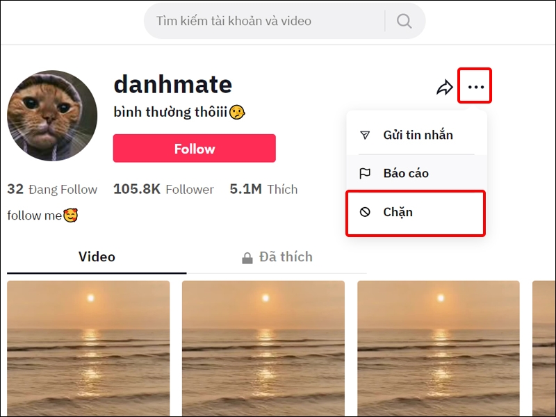 Hướng dẫn chặn người dùng TikTok