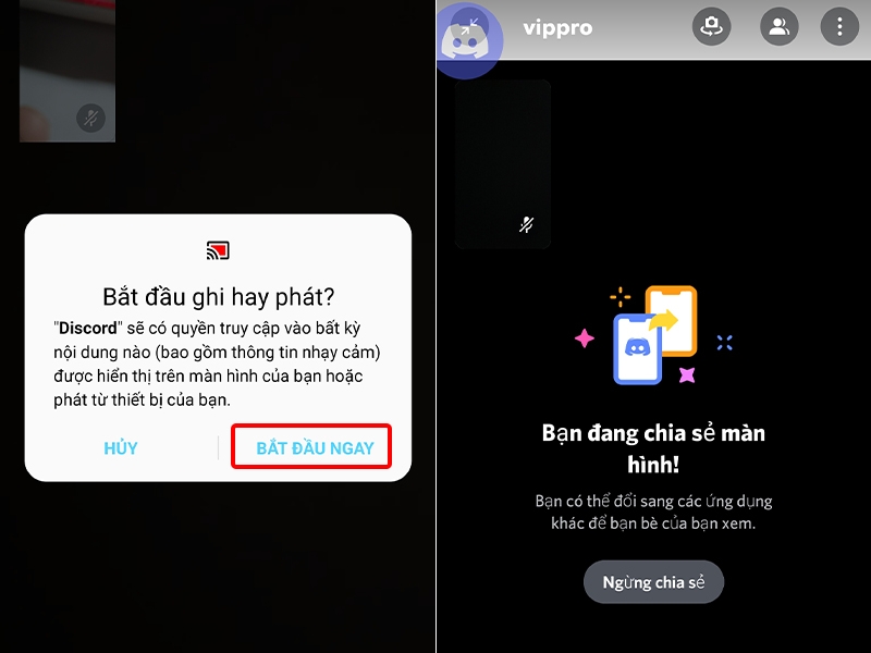 Cách chia sẻ màn hình trên ứng dụng Discord