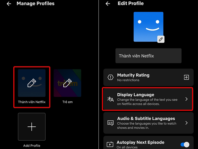 Cách thay đổi giao diện Netflix sang tiếng Việt bằng điện thoại