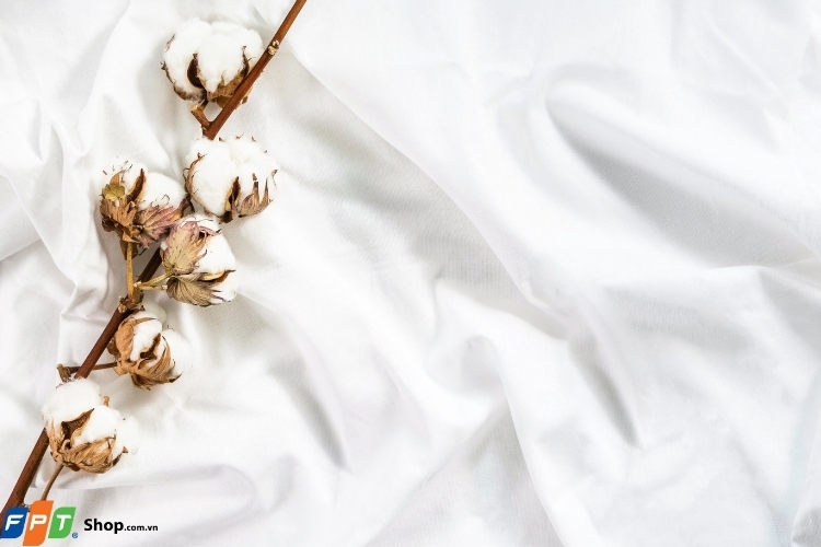 Ưu điểm của vải cotton