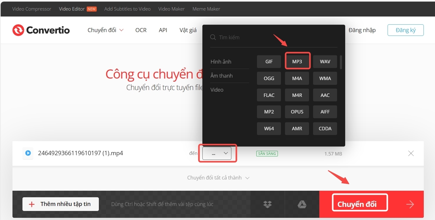 Tải nhạc TikTok (ảnh 13)