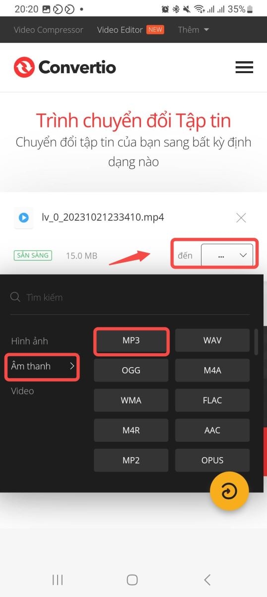 Tải nhạc TikTok (ảnh 17)