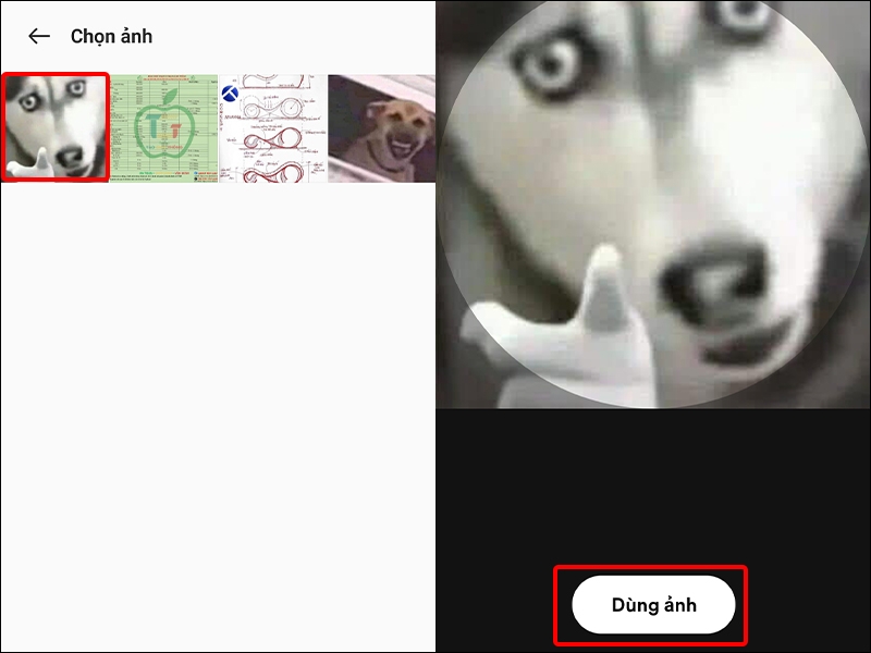 Hướng dẫn cập nhật ảnh đại diện trên Spotify