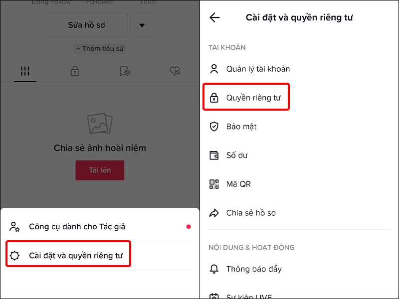 Cách tải toàn bộ dữ liệu TikTok về điện thoại