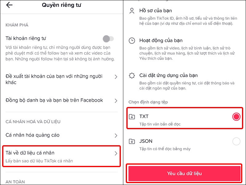 Cách tải toàn bộ dữ liệu TikTok về điện thoại