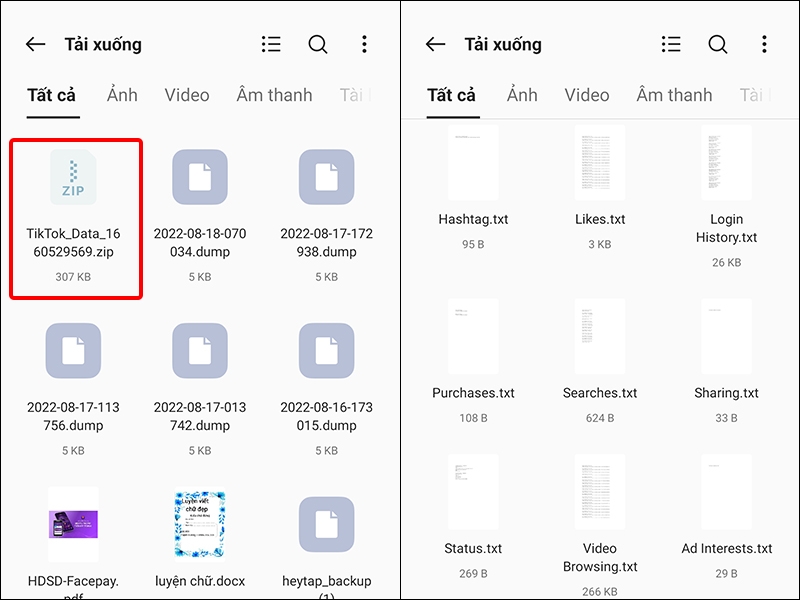 Cách tải toàn bộ dữ liệu TikTok về điện thoại