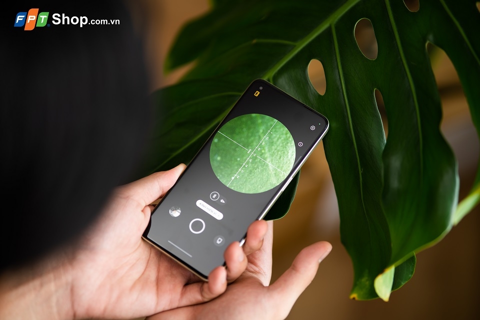 Trên tay OPPO Reno8 4G: Màu mới ấn tượng, màn hình 90Hz, bộ nhớ lớn