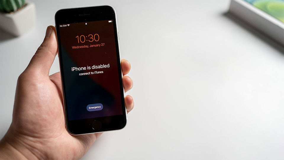 iPhone bị lỗi vô hiệu hoá - Ảnh 01