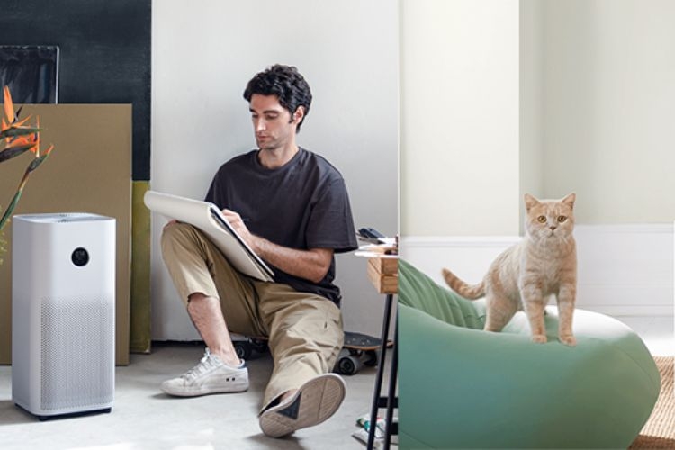 Máy lọc không khí Xiaomi có tác dụng gì?