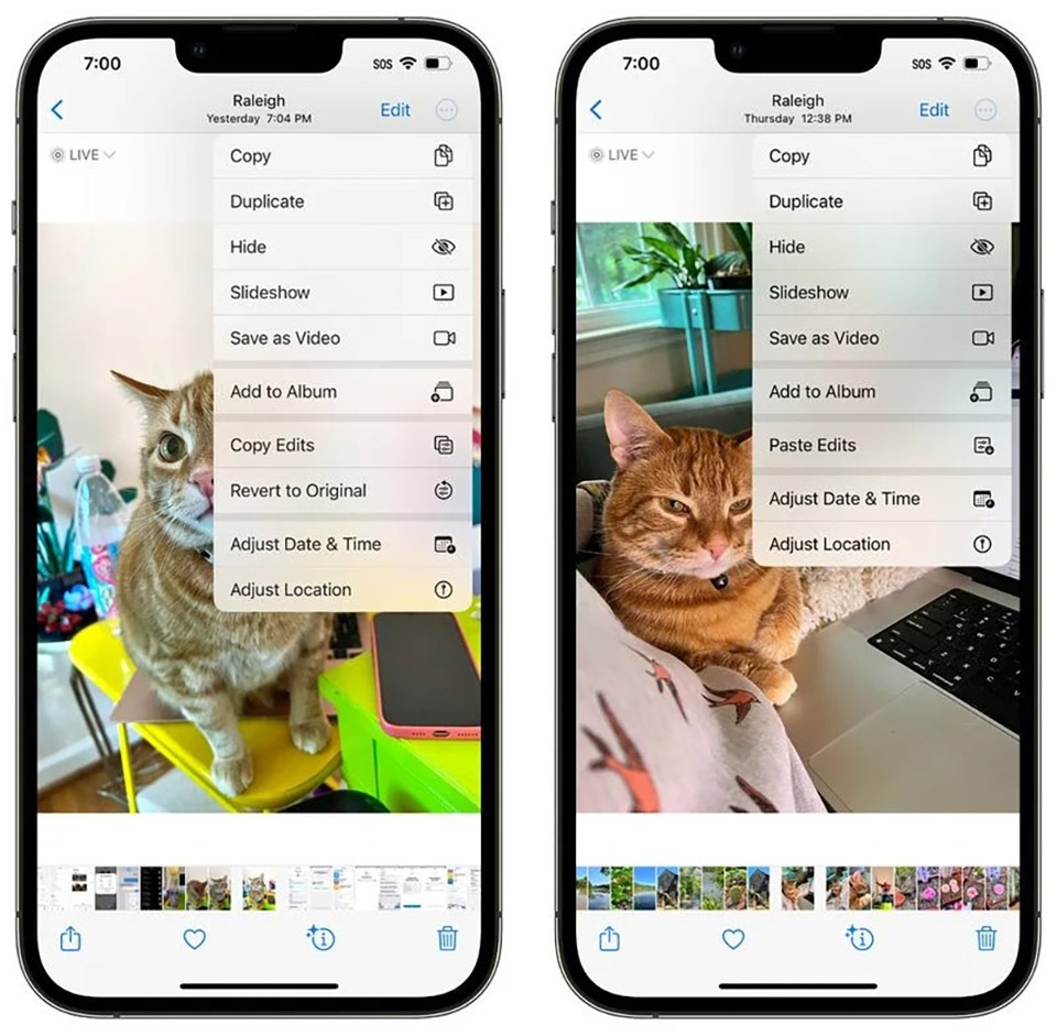 Mọi tính năng mới của ứng dụng Photos và Camera trên iOS 16 (ảnh 4)