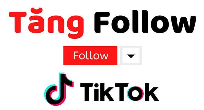 Dịch vụ TikTok