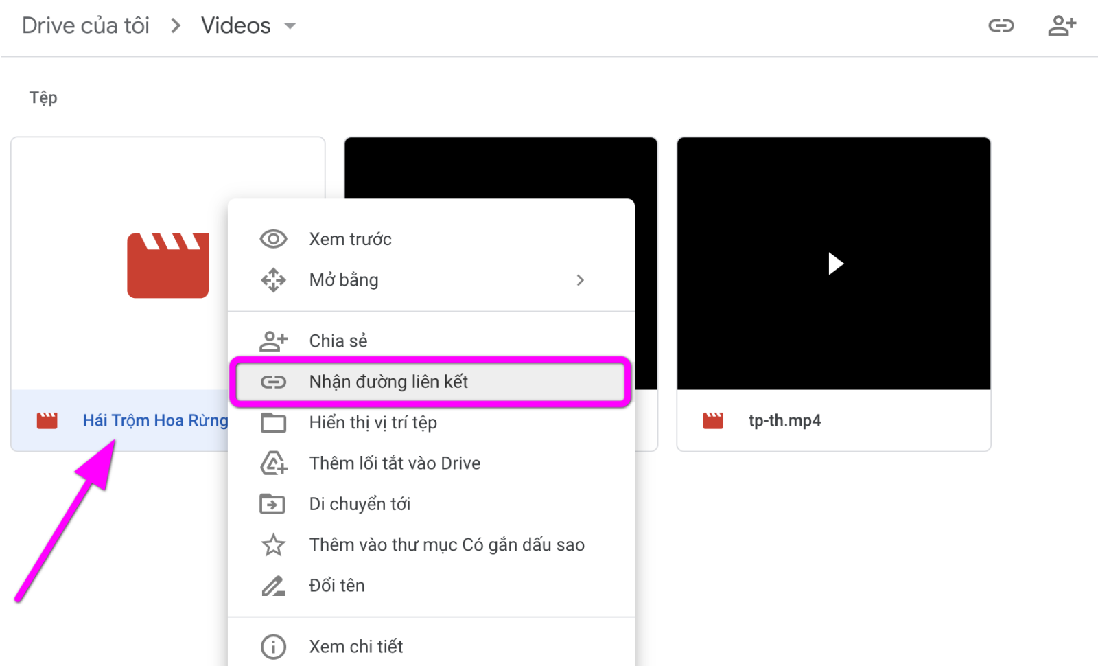 Mẹo chia sẻ video Google Drive bắt đầu từ một vị trí cụ thể - Ảnh 1