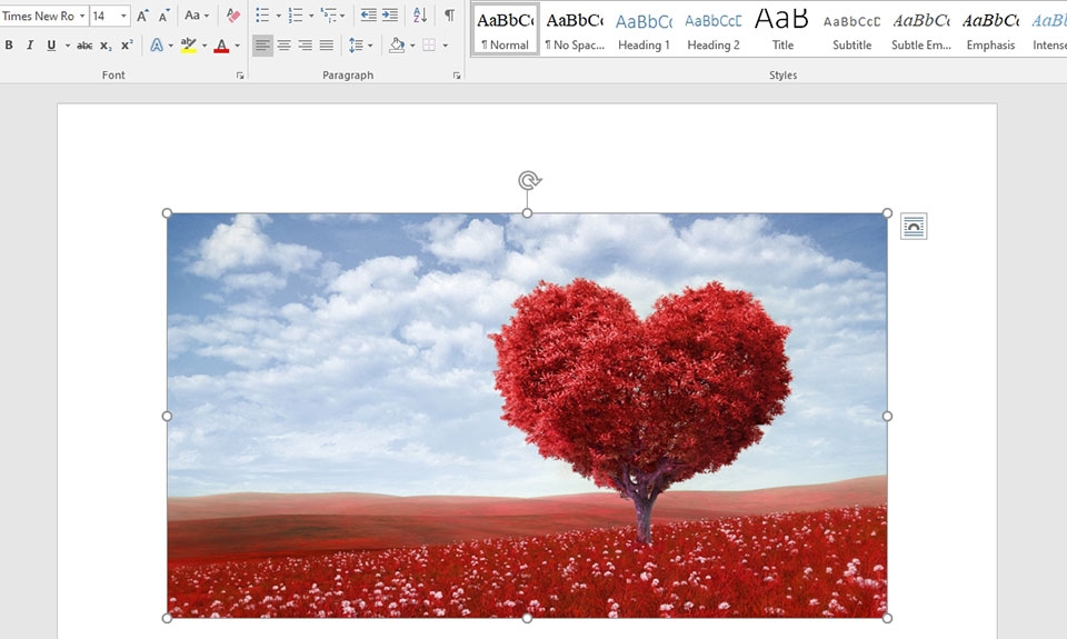 3 CÁCH XOAY ẢNH TRONG WORD - Ảnh 02