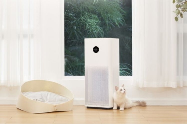 Sự khác nhau giữa máy lọc không khí Xiaomi 3H và 3C