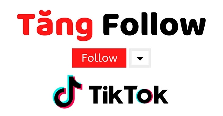 Ngoài Sclk, còn cách nào để tăng follow TikTok không?