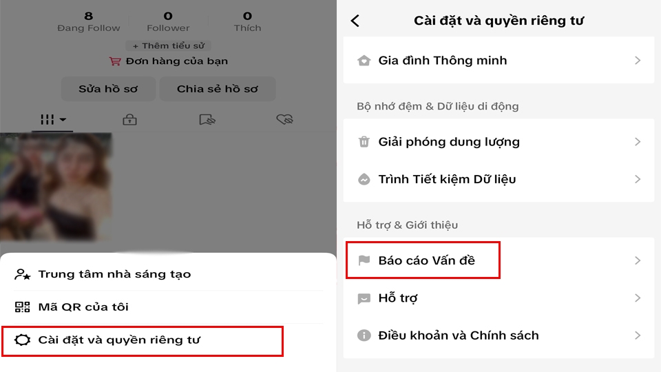 Báo cáo vấn đề