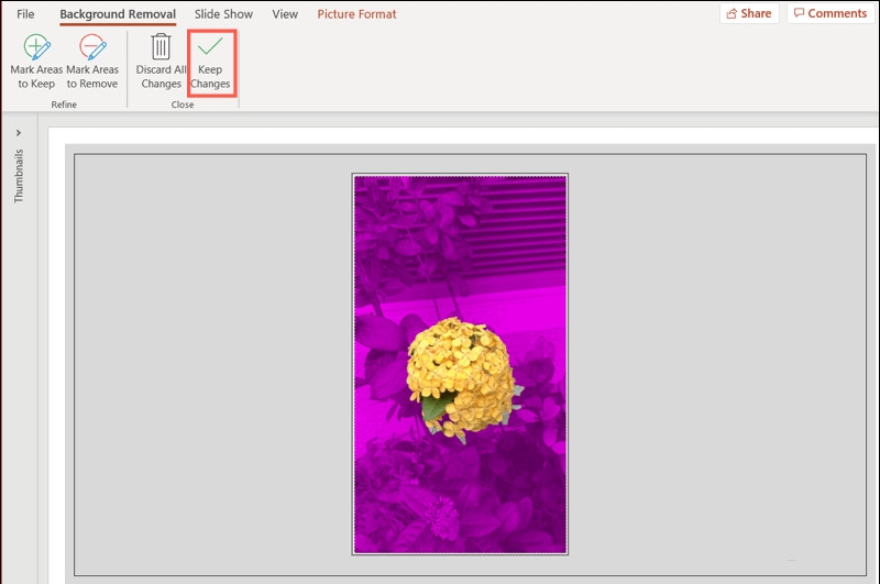 Bí quyết dùng PowerPoint để xóa nền ảnh bạn đã biết (2)